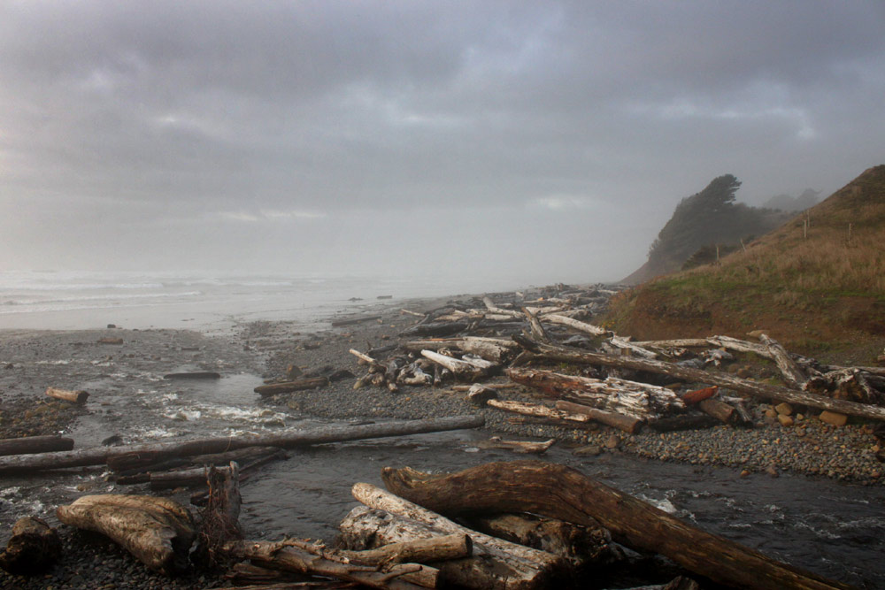 Razor Clamming Reopens on Central Oregon Coast