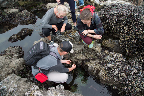 Newport Features Oregon Coast Confessions, Bioblitz Talk 