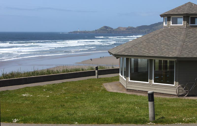 BioBlitzing Event: Helping Oregon Coast Science While Discovering More of Newport