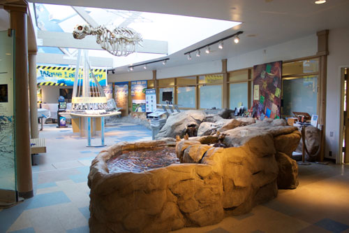 Oregon Coast's Hatfield Marine Science Center Fully Reopens for Spring Break