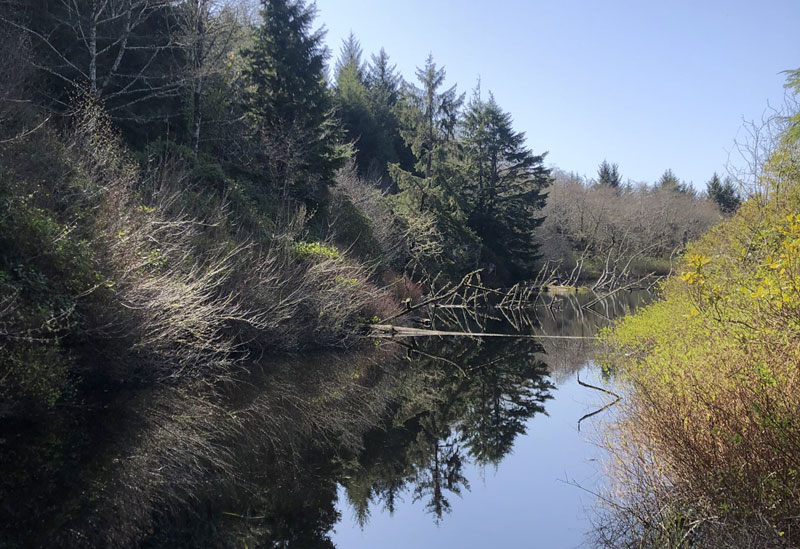 Scientists Uncover New Aspects of 1700 Tsunami Along Oregon Coast