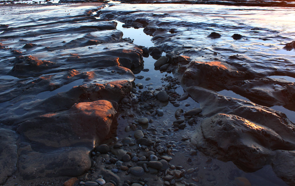 Inside Bedrock at Newport's Moolack Beach: Oregon Coast's Fossil and Mystery Hotbed 