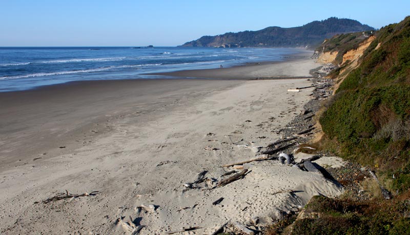 Newport's Moolack Beach Looking to Devil's Punchbowl, Forested Pathway