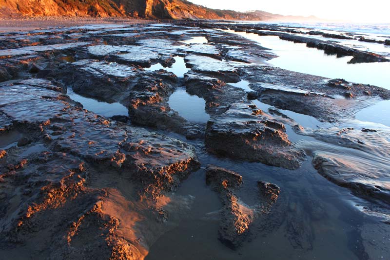 What Lurks Beneath Oregon Coast Beaches? Get Ready... 