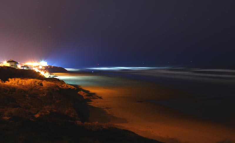 Romantic Thrill of it All: Great Make Out Spots on Oregon Coast