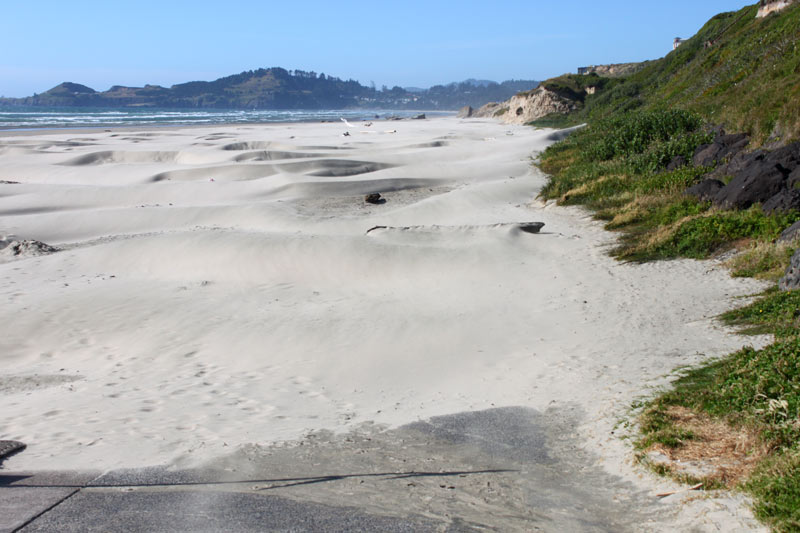 Five Beaches on Oregon Coast Under Health Advisories, Mostly South 