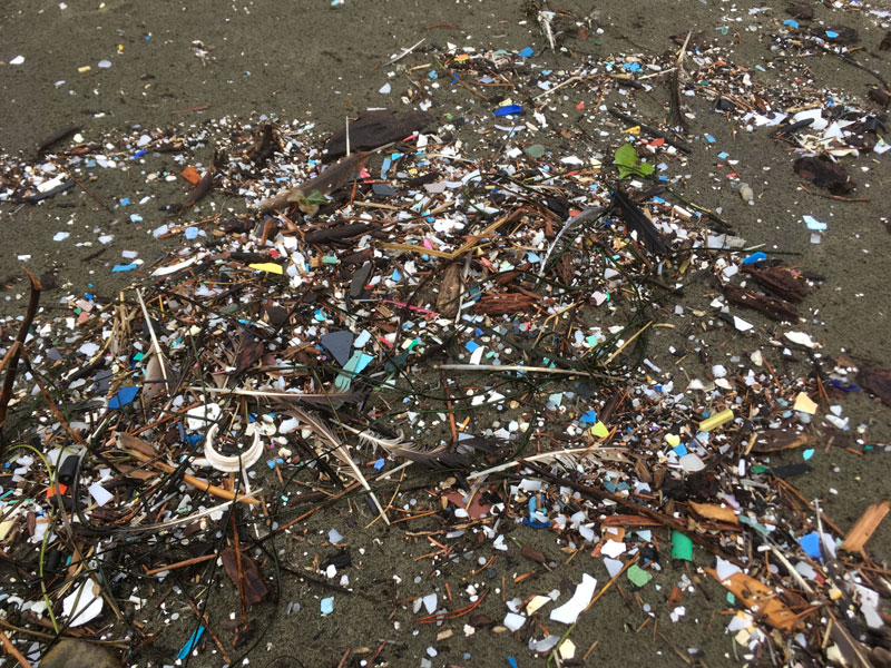 Maybe Win Prizes Helping Clean Up Central Oregon Coast Through Surfrider 