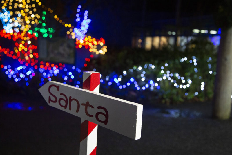 Oregon Coast Aquarium Sees Return of Sea of Lights After Two Years 