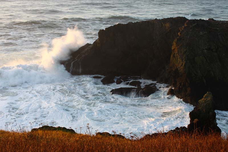 Two Mesmerizing Oregon Coast Destinations in One Newport Spot