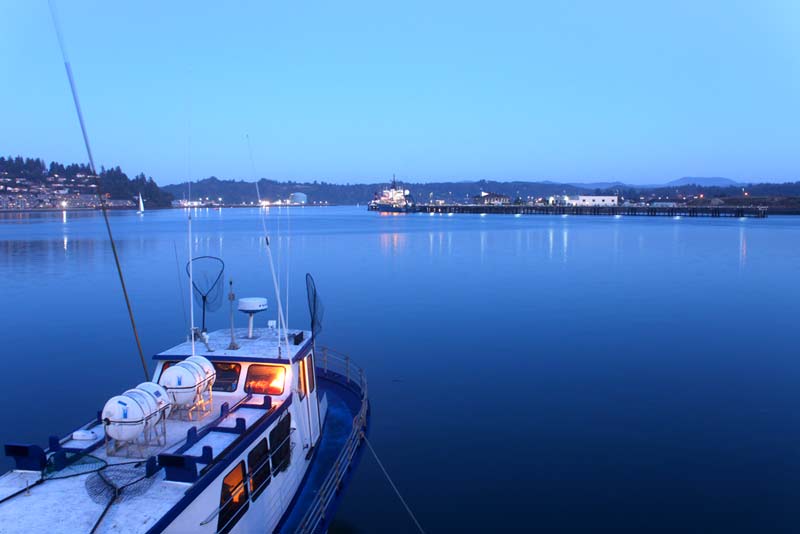 Newport's Late Summer Bashes: August, September on Oregon Coast 