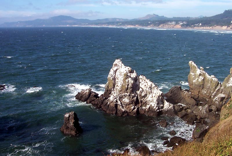 Yaquina Head Basalt Structures, Birding Spots