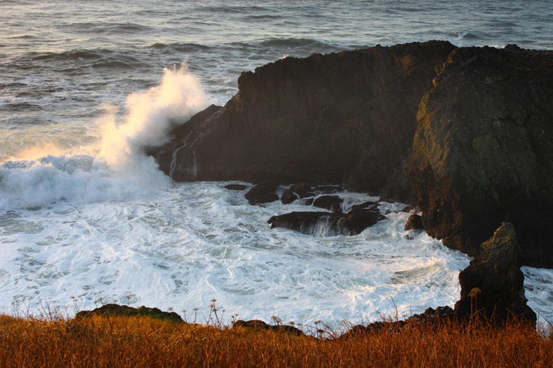 Deeper Into Newport's Yaquina Head: Oregon Coast Details You Missed 