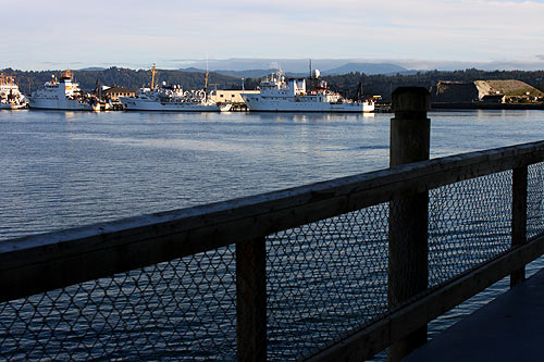 Parade, Carnival and Historic Boat Tour on Central Oregon Coast in May 