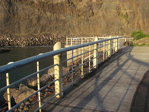 walkway at Newport's Yaquina Head