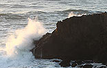 Yaquina Head, Newport