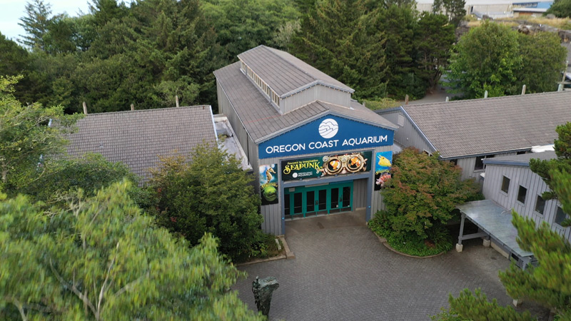 Oregon Coast Aquarium Over Controversy: 'Don't Mistake Us for Kentucky Facility'