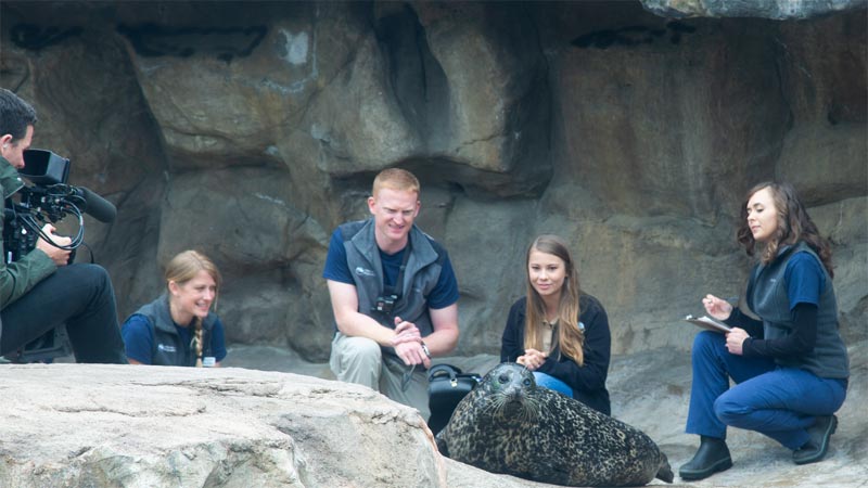 Animal Planet Star of Crikey! It's the Irwins Films at Oregon Coast Aquarium 