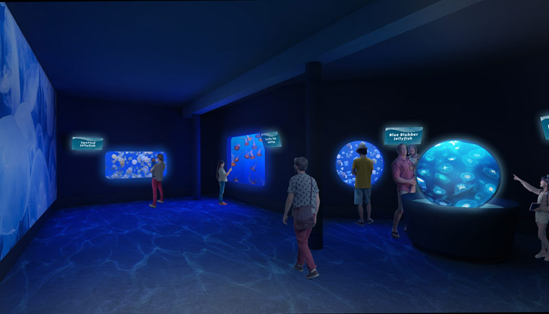 A Stellar Remake, Remodel Hits Next Phases at Oregon Coast Aquarium 