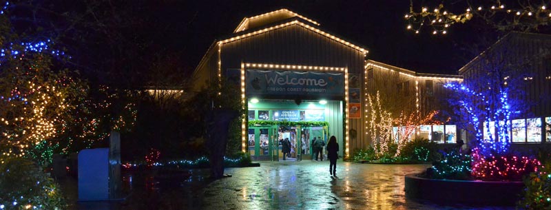 A Sea of Lights Will Surround Newport's Oregon Coast Aquarium