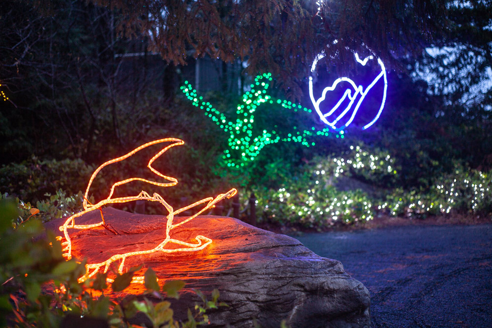 Oregon Coast Aquarium Swims in a Sea of Lights 