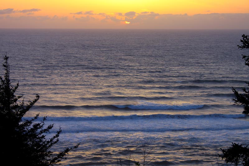 Oregon Coast Natural Science and Author Events: Coos Bay, Lincoln City, Cape Falcon 