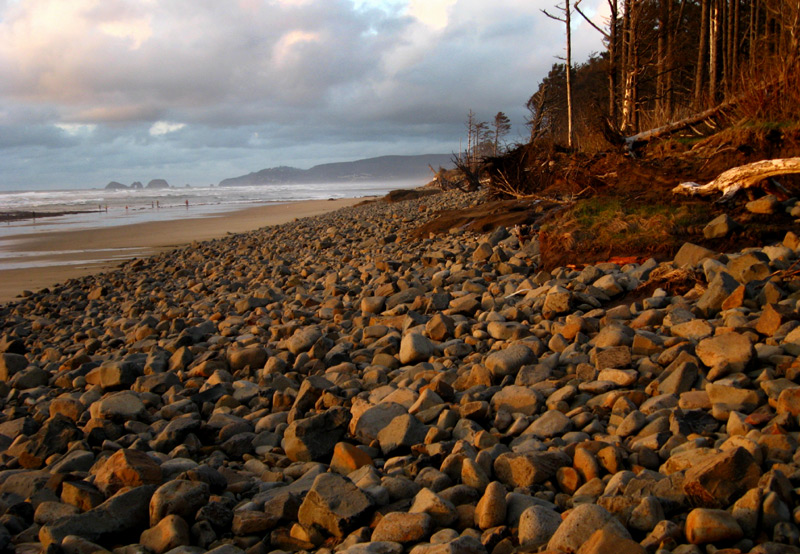 Vibrant Signs and Wild Temperament of Spring on Oregon Coast 