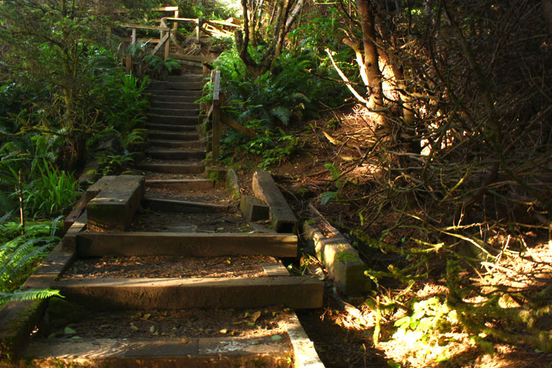 Five Trail Closures on Oregon Coast Due to Legal Wrangling, Possibly More Coming 