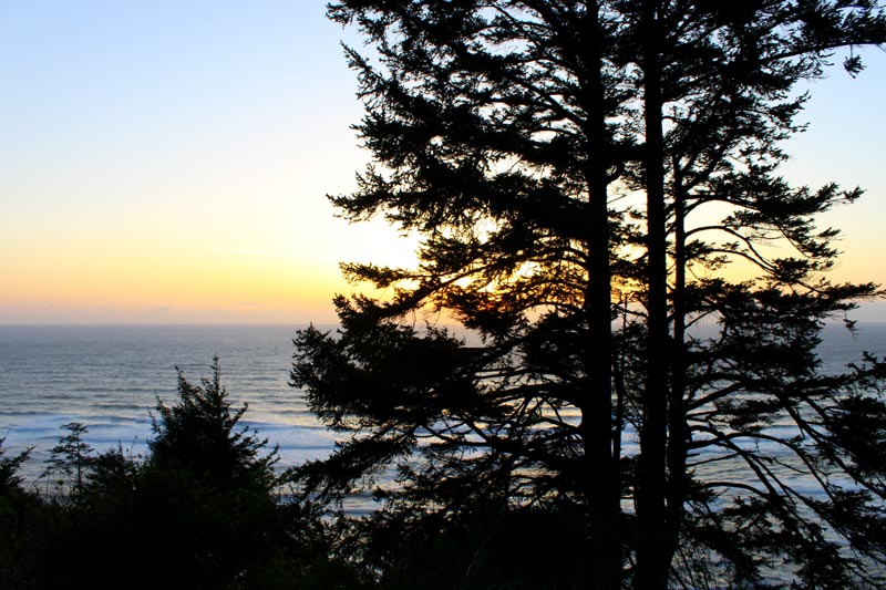 Anderson's Viewpoint near Oceanside (Cape Lookout Viewpoint)