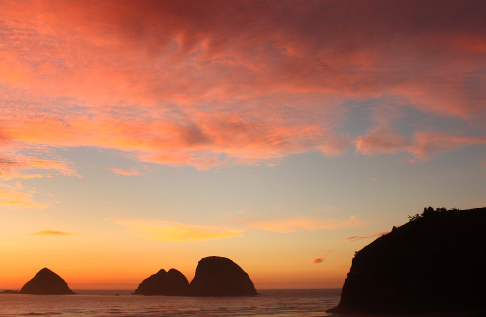 The 'Secret Spring' on Oregon / Washington Coast: Orcas, Crowds, Prices, Most Photogenic