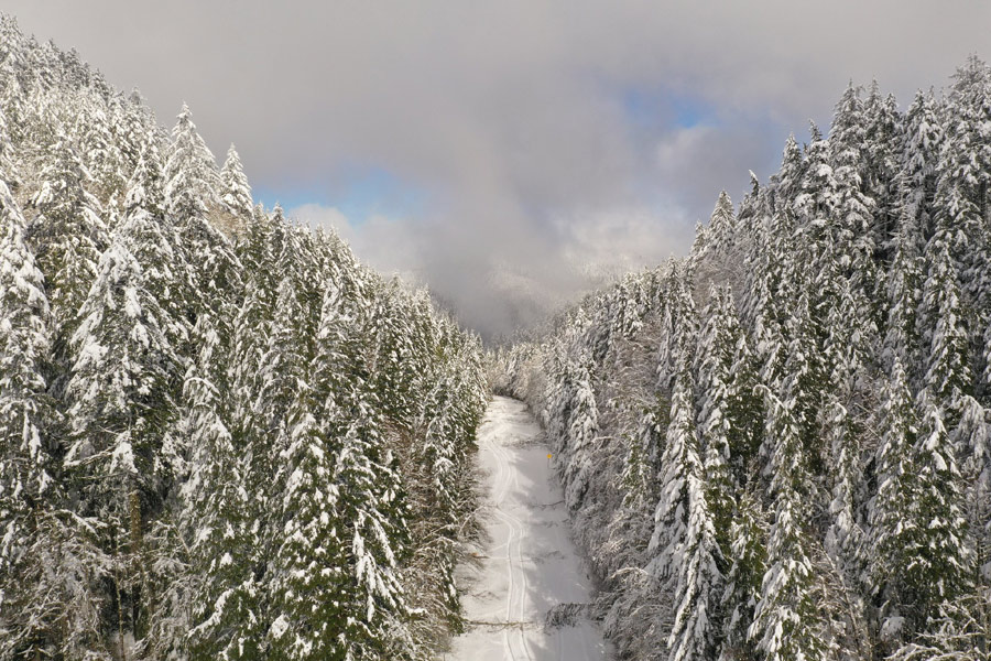 N. Oregon Coast Closures, Delays, Astoria - Including Snow Storm Cleanup Near Neskowin 