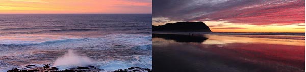 Oregon Coast Shopping and Gifts: T-Shirt, Posters, Mugs, Vintage Items 
