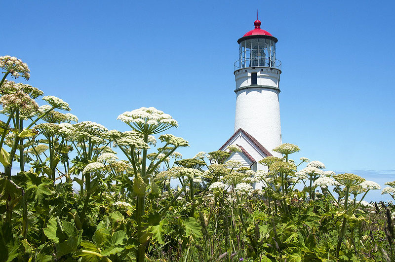 How Cape Blanco is a Dividing Line in South Oregon Coast Weather