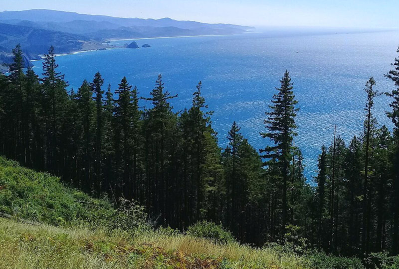 S. Oregon Coast Hiking Event Includes Work Party Atop Rugged Humbug Mountain