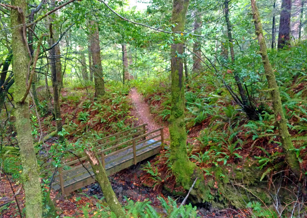 New Finds of Sudden Oak Death Disease on S. Oregon Coast: Humbug State Park Quarantines