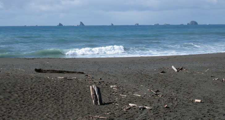 Cruel and the Quirky History Tidbits of Port Orford, South Oregon Coast 