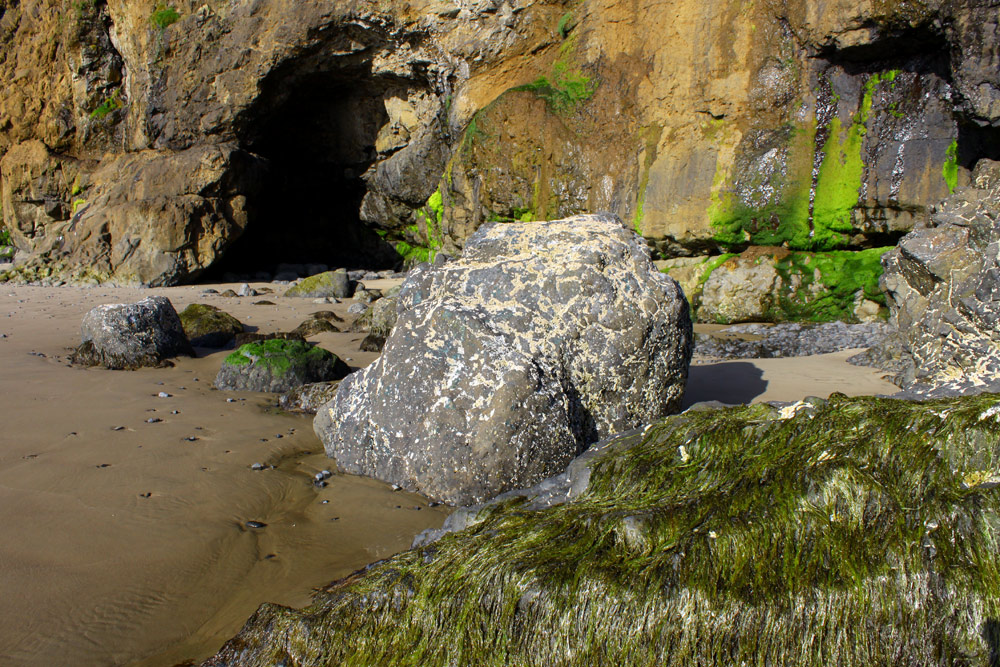 goo-covered cave, Oceanside