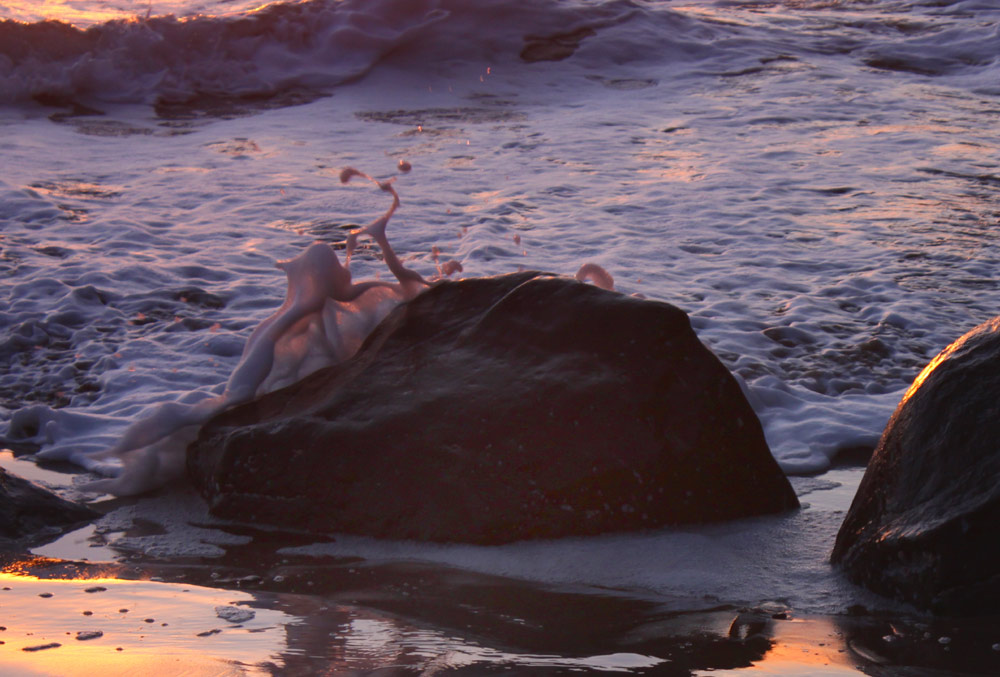 oside_frothy_wave.jpg