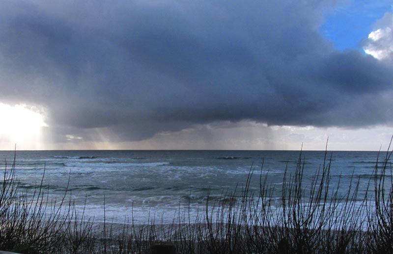 King Tides and Oregon Coast Citizen Science Events at Yachats, Florence 