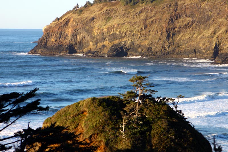 Short Beach is Long on Engaging Finds on N. Oregon Coast
