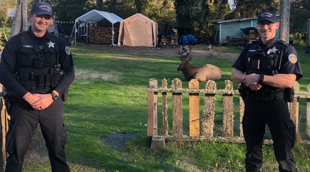 State Police Nab an Especially Furry Burglar on North Oregon Coast, But Flees the Scene 