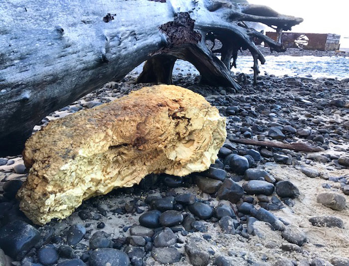Help Needed Picking Up Plastics at N. Oregon Coast's Short Sand / Stranded Platform