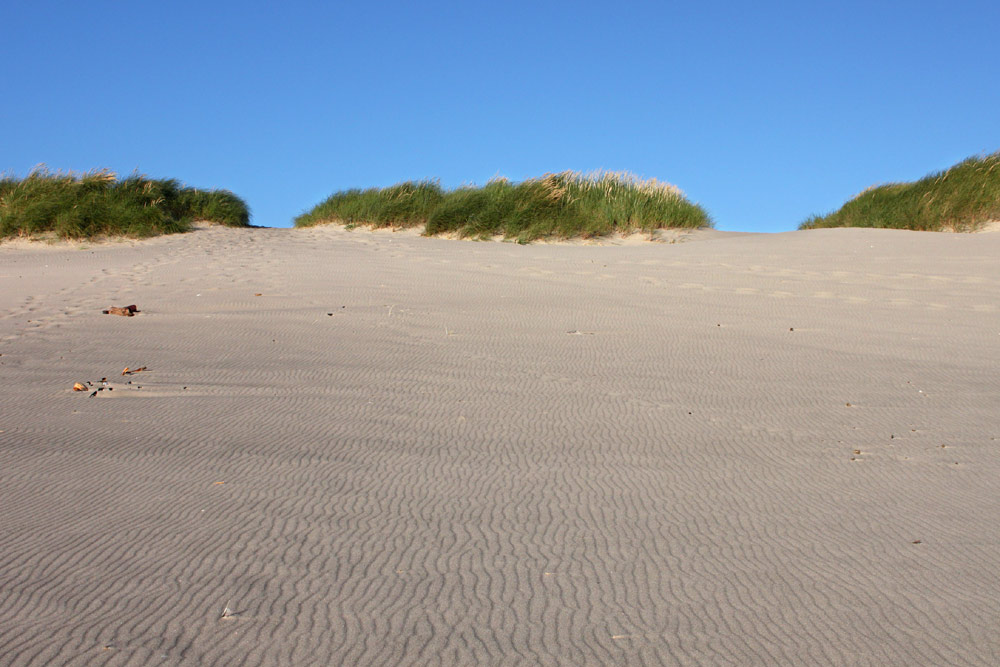 Oregon Coast Singing Sands to Booming, Squeaking Sands: How and Where to Find 