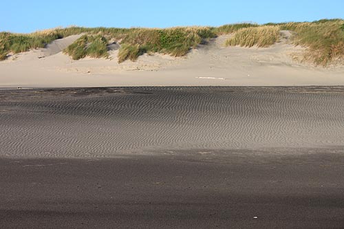 Less Obvious Pacific City: Sandy Wonders of the N Oregon Coast Town 