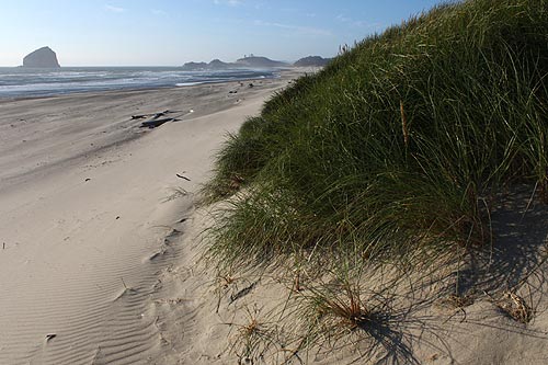 Pacific City Talk / Walk Event Remembers Landmark Oregon Coast Moment