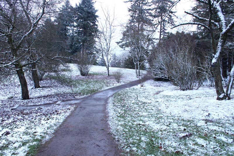 Winter Storm Warning (In Spring?) for Oregon Coast Range, Washington Coast; Stormy Seas 