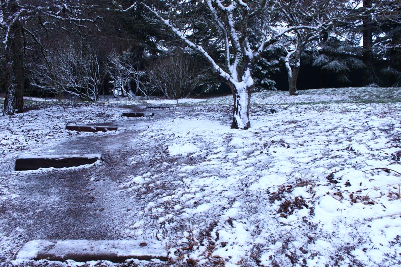 Still a Chance of Snow This Week for Northwest Oregon, Portland, Valley, Eugene 