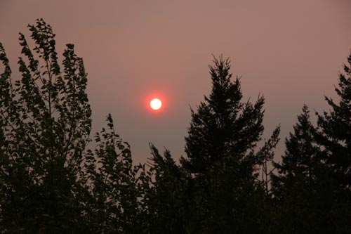 South Washington Coast Air Alert; Portland, Eugene ‘Wall of Smoke’ – Oregon Coast Beach Connection