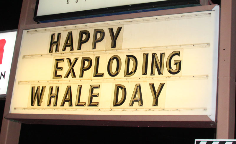 Exploding Whale Day: More Every Year Behind the Oregon Coast Legend 