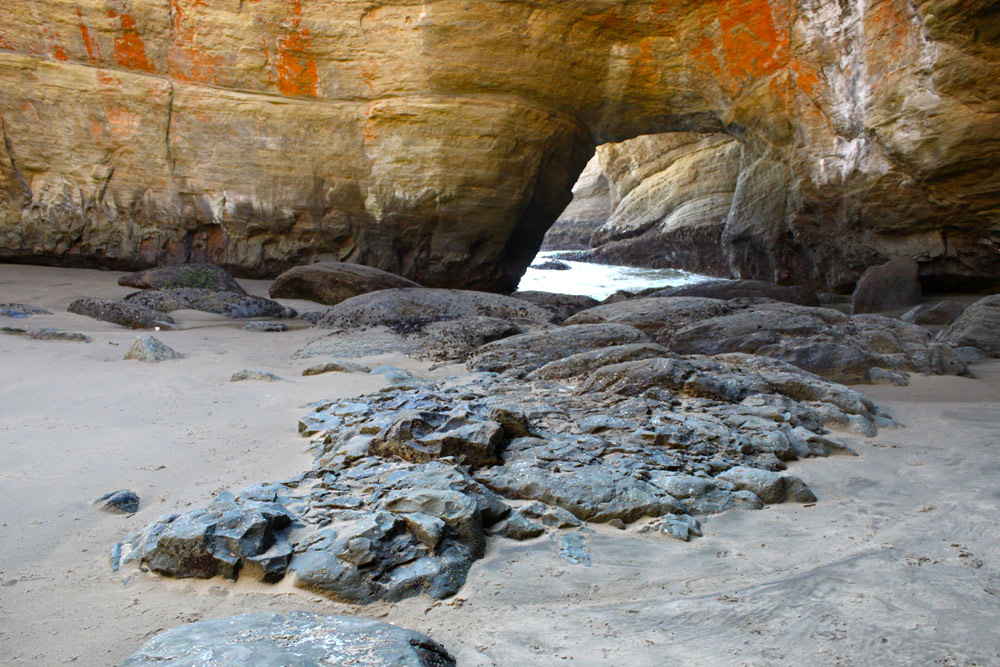 Big Minus Tides on Oregon Coast Coming Up: Great Clamming, Maybe More Beach Access