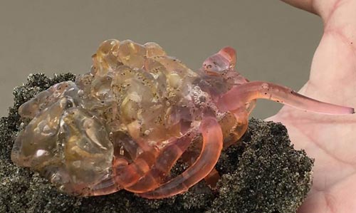 Oregon Coast Mystery Red Blob Not a Mystery At All, Turns Out 